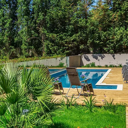Oasis Life 4*
