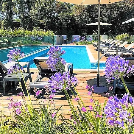 Nocleg ze śniadaniem Oasis Life